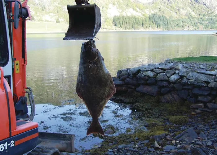 Sorbovag